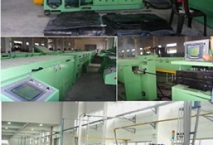 Single Extrusion Microwave Continuous Production Line